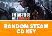 The Last of Us Part 2 Remastered RoW (Steam) or Random Steam CD Key