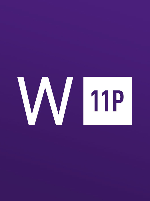 Windows 11 Professional OEM 4 Keys Bundle
