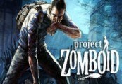Kinguin Expeditions - Project Zomboid Steam Gift